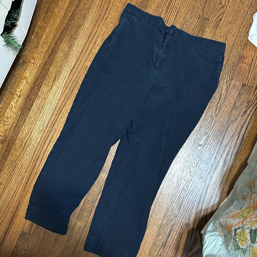 Ann Taylor Navy Work Pants